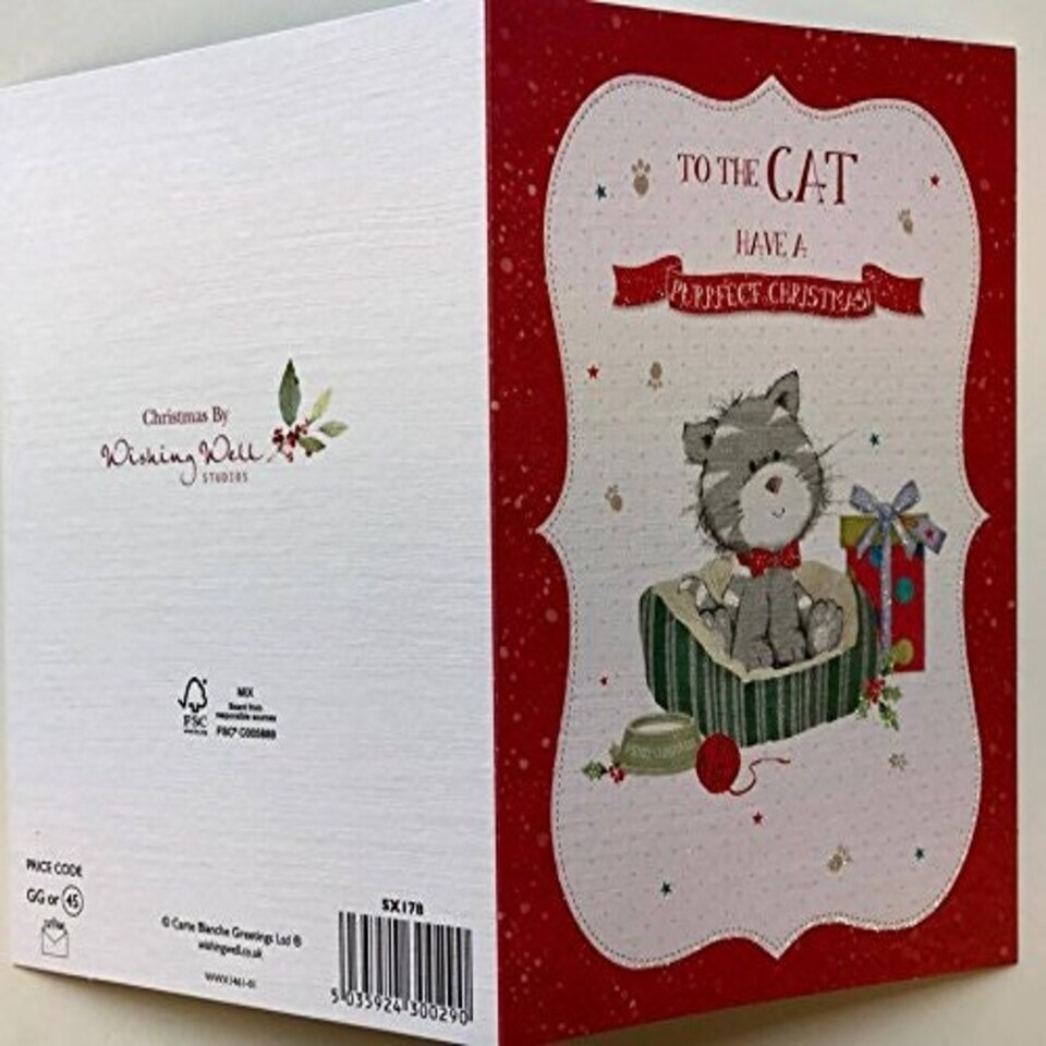 image 1 of To The Cat Cute Glitter Finish Christmas Greeting Card By Wishing Well