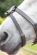 image 2 of Shires Blenheim Flash Strap | Black | Size: Pony
Colour: Black