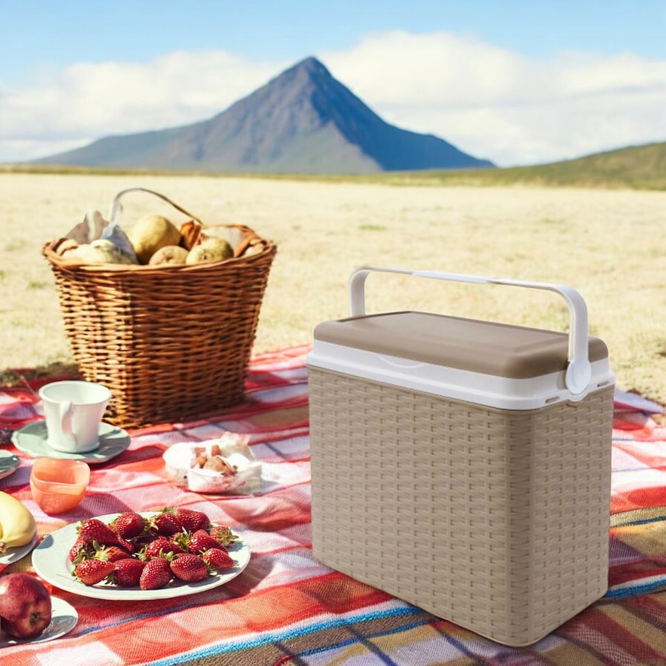 image 1 of 24L Rattan Design Cooler Storage Boxes | Cream | 1