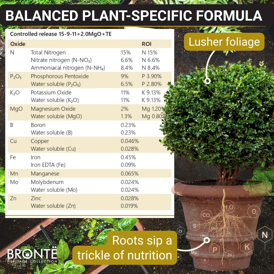 image 1 of Buxus Feed Controlled-Release Fertiliser Plant Food Box Hedges & Topiary Easy-Apply Granules for Dense Healthy Growth 120g Pouch