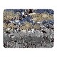 image 1 of Mixed Animal Print Blanket | Multi