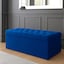 Sapphire Blue Plush Velvet