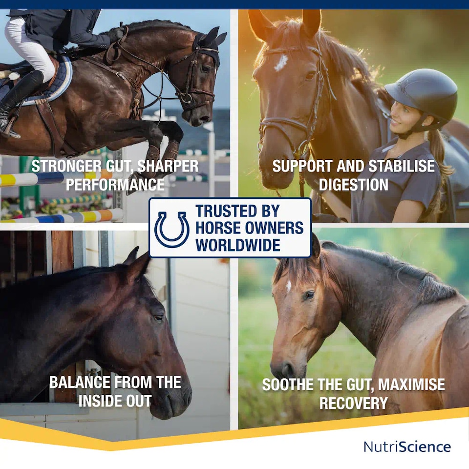 image 1 of NutriScience Horse Gut Gold Supplement Digestive Aid Probiotic Powder Ulcer Support Performance 4.5kg