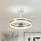 image 3 of HOMCOM Ceiling Fan Light with 3 Colour, Timer, Reversible, Remote, Gold