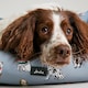 image 6 of Joules Rainbow Dog Box Bed | Grey | L | 1