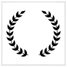Olive branches (Picture Frame) White | M