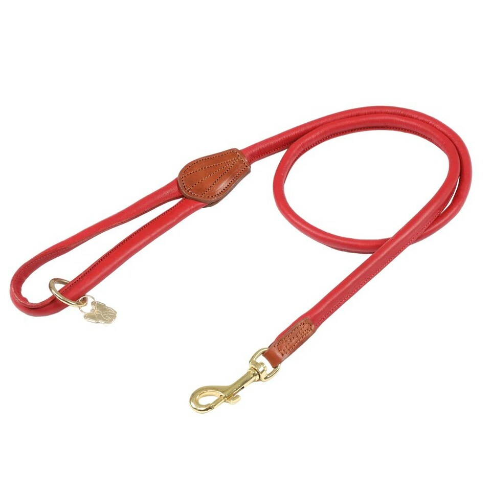 Digby & Fox Rolled Leather Dog Lead - Scarlet - One Size
