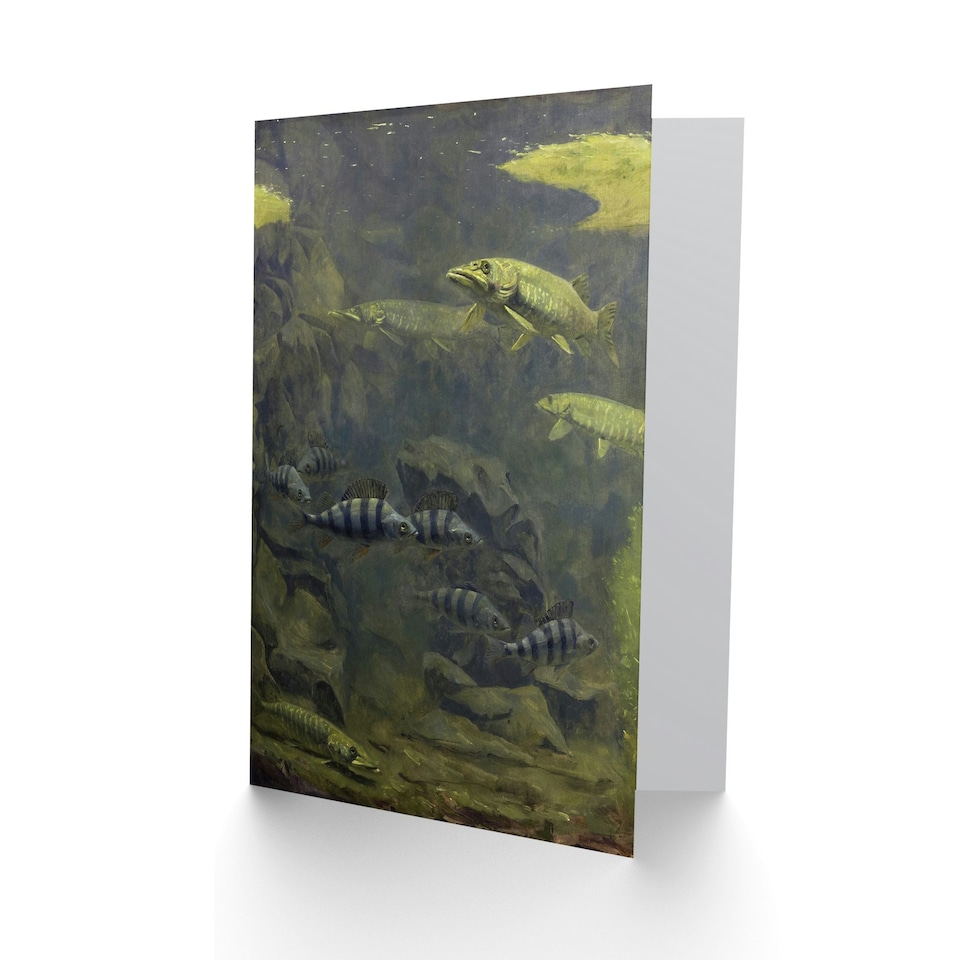 image 1 of Gerrit Willem Dijsselhof Art Card Pike and Perch in Aquarium