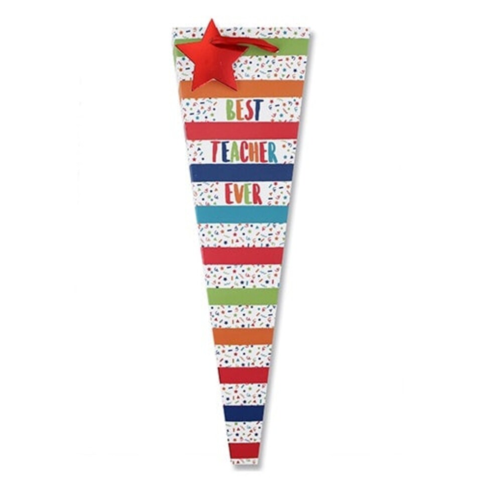 Best Teacher Ever Colourful Flower Gift Bag 43cm