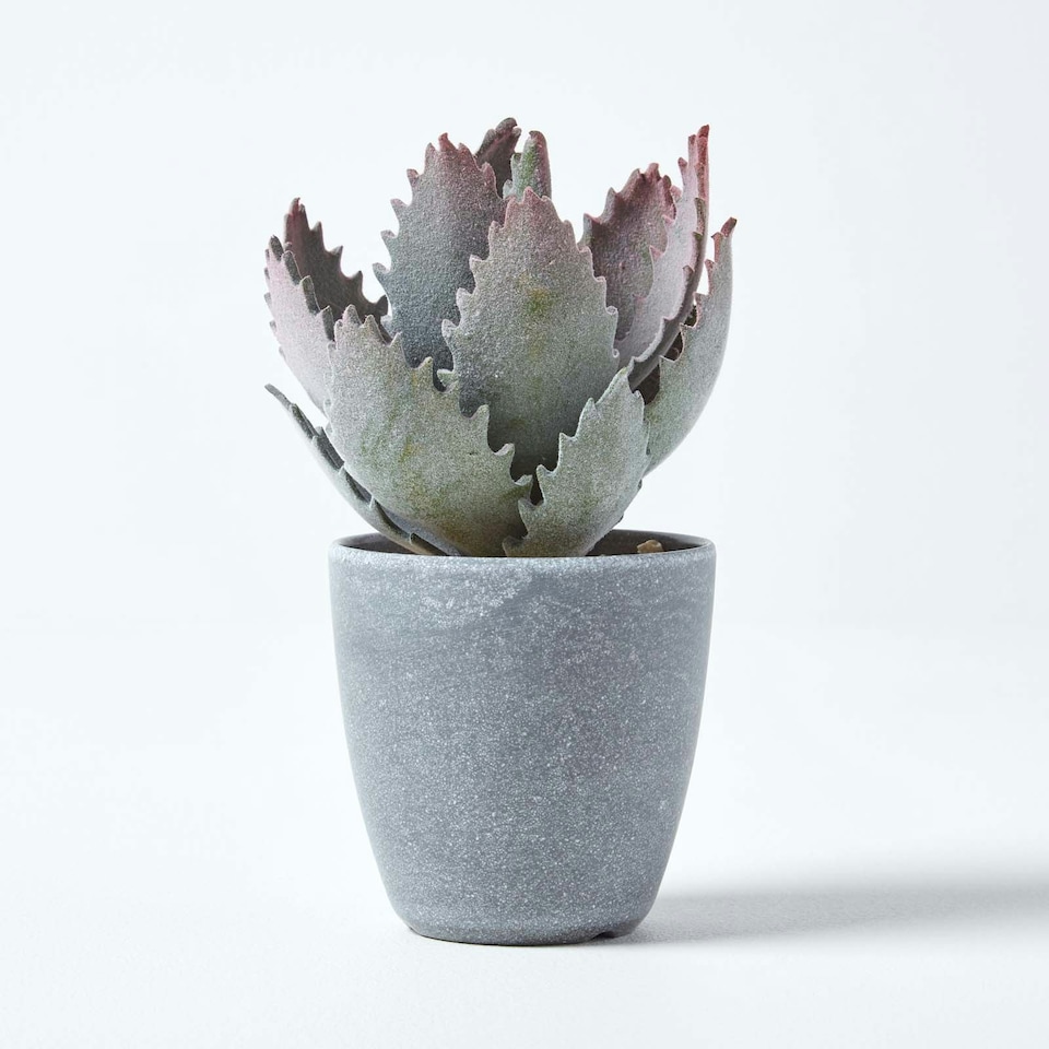 image 1 of Homescapes Purple and Green Aloe Vera Artificial Succulent in Grey Pot, 21 cm Tall