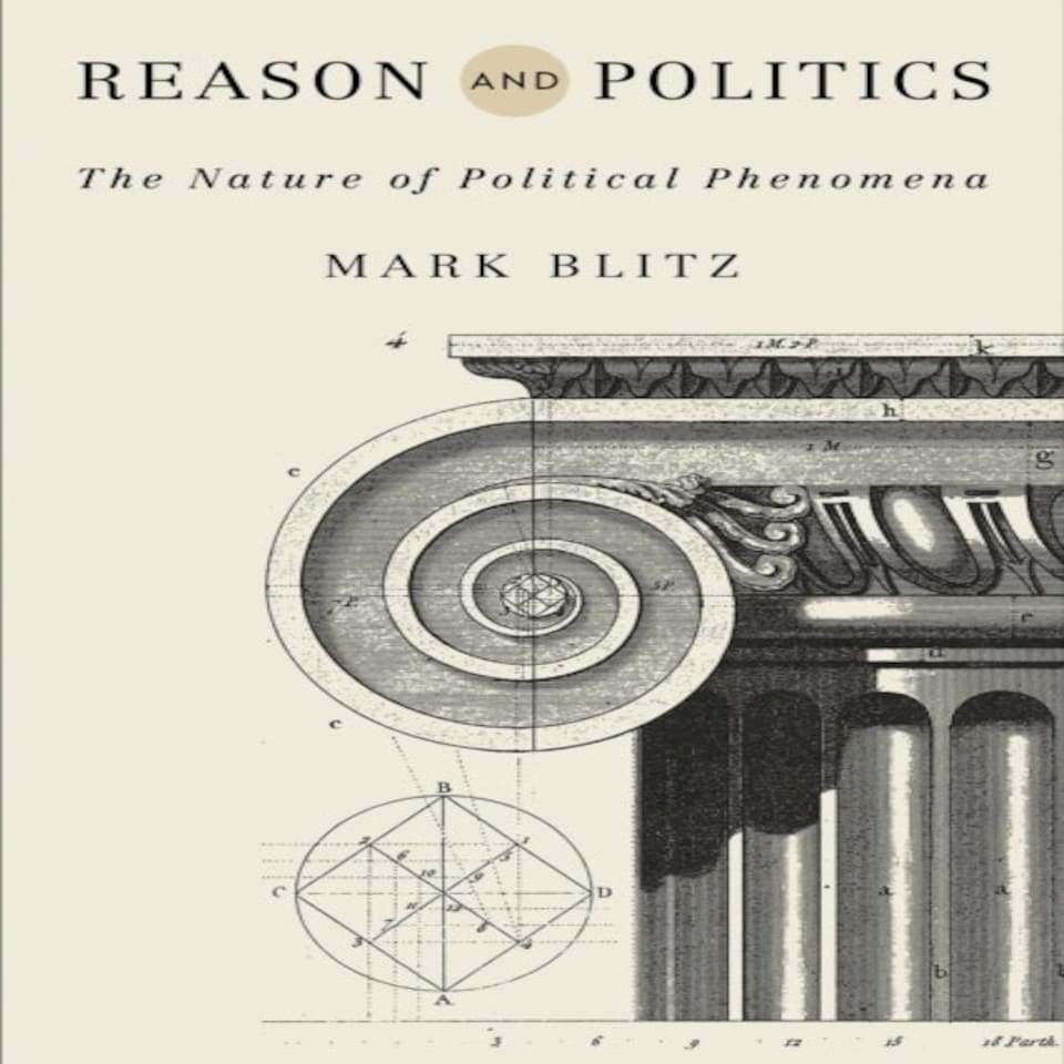 Reason And Politics