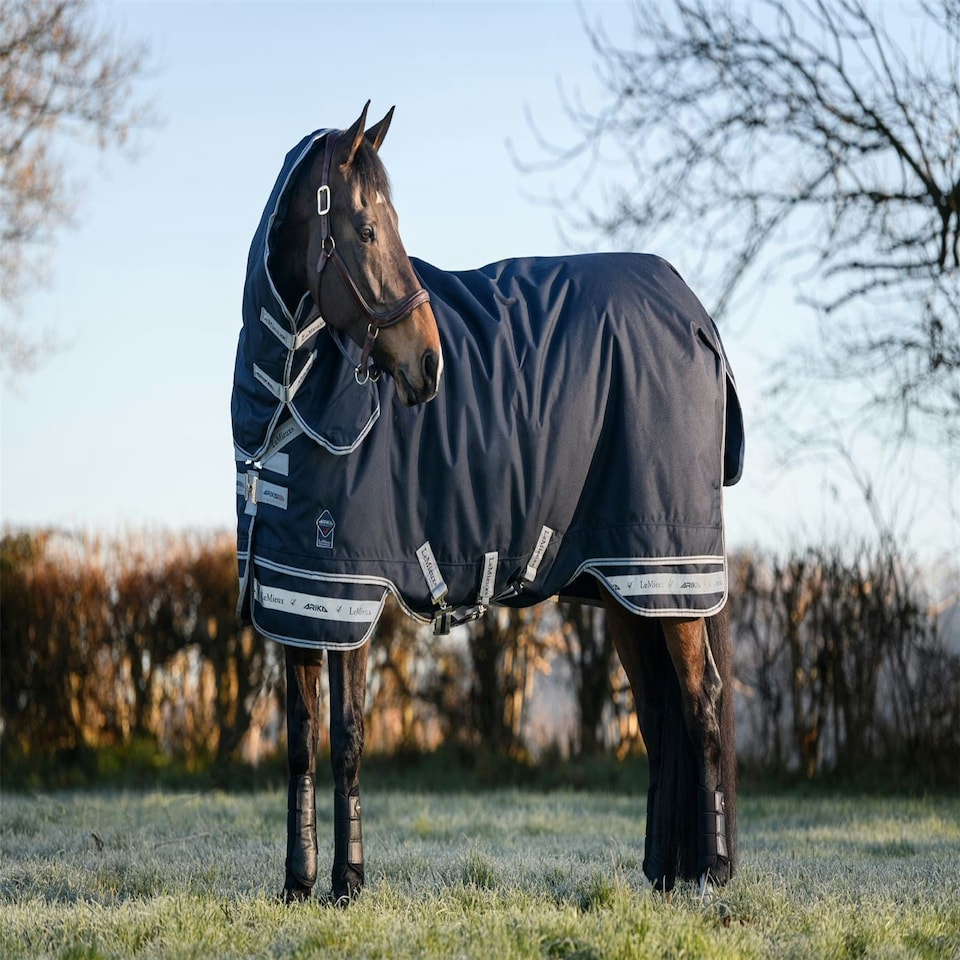 image 1 of LeMieux Arika Storm-Tek Rug 350g Blue | 7ft 0
