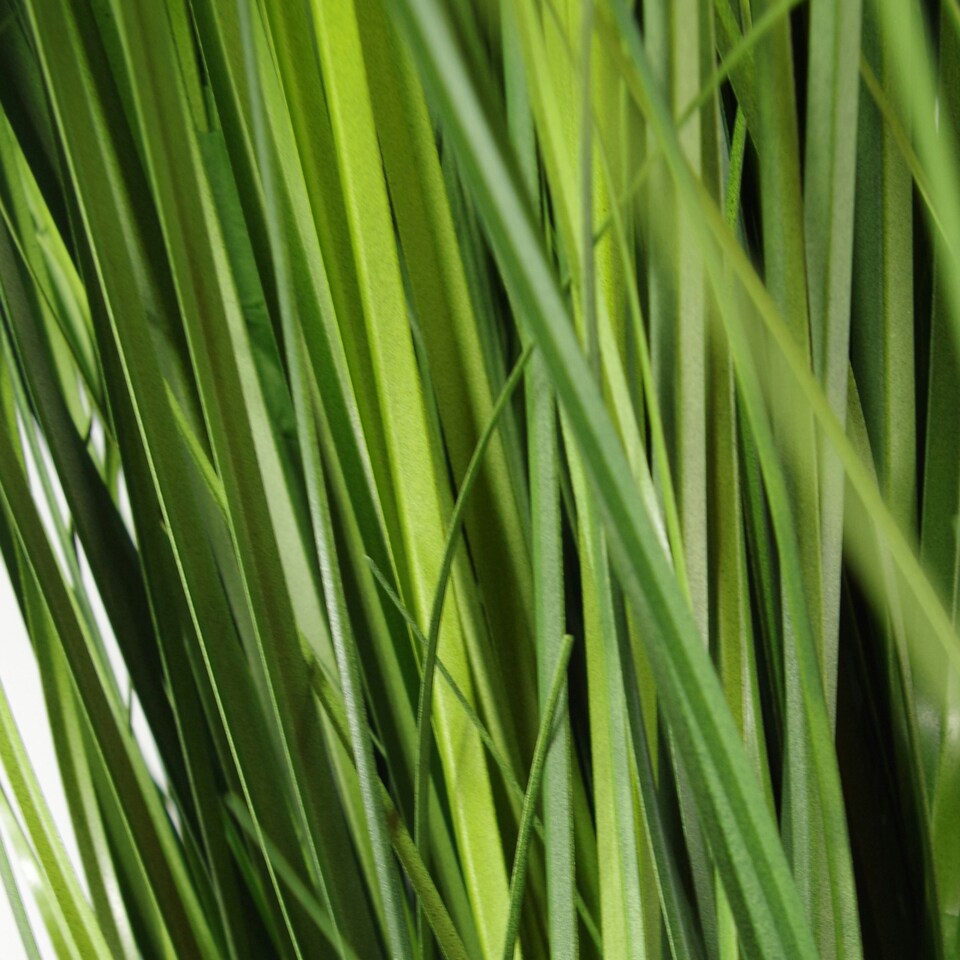 image 1 of Artificial 130cm Onion Grass Plant with Gold Metal Planter