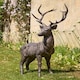 image 1 of Majestic Giant Standing Stag Decoration