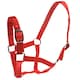 image 1 of Roma Horse Headcollar And Leadrope - Red - Cob
