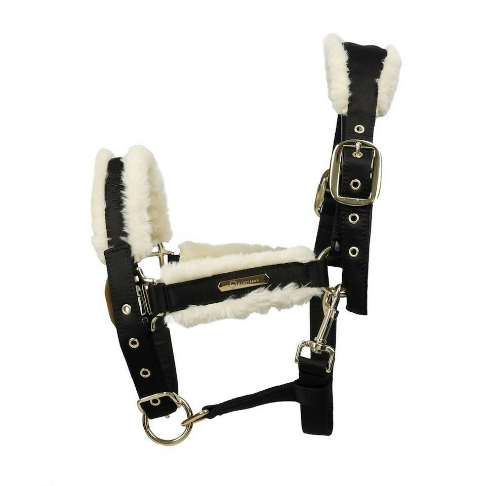 image 1 of Coldstream Langlee Luxury Horse Headcollar and Leadrope - Black - Cob
