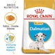 image 1 of Royal Canin Dalmatian Puppy Dry Dog Food - 12 kg