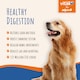 image 5 of Dog Probiotic Powder 525 Million CFU per Serving, 150g, with Prebiotics & Postbiotics, Supports Gut Health & Digestion