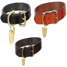 Shires Digby & Fox Flat Leather Dog Collar Brown | Size: Medium
Colour: Brown | M