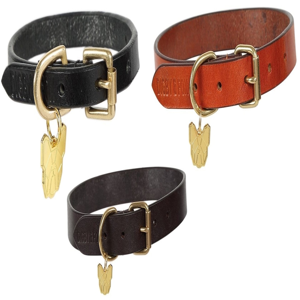 image 1 of Shires Digby & Fox Flat Leather Dog Collar Brown | Size: Medium
Colour: Brown | M