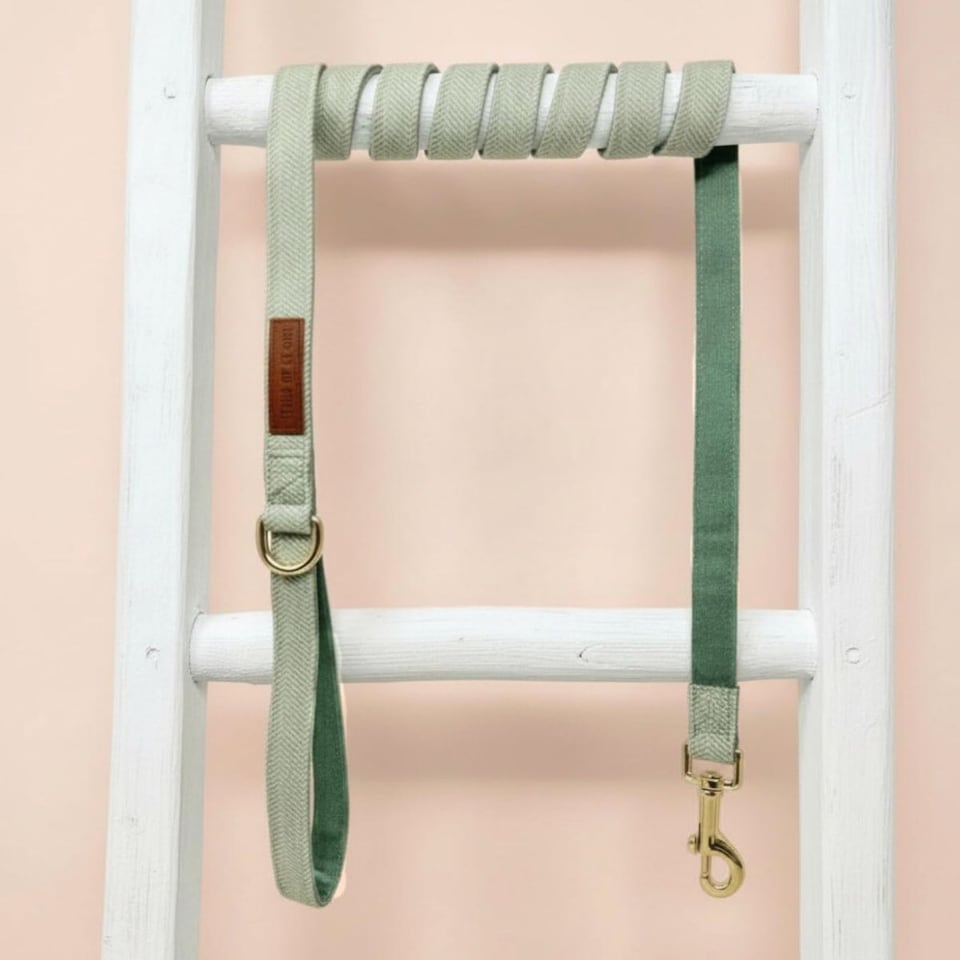 image 1 of Luxury Green Tweed Dog Walking Set - 3 Piece