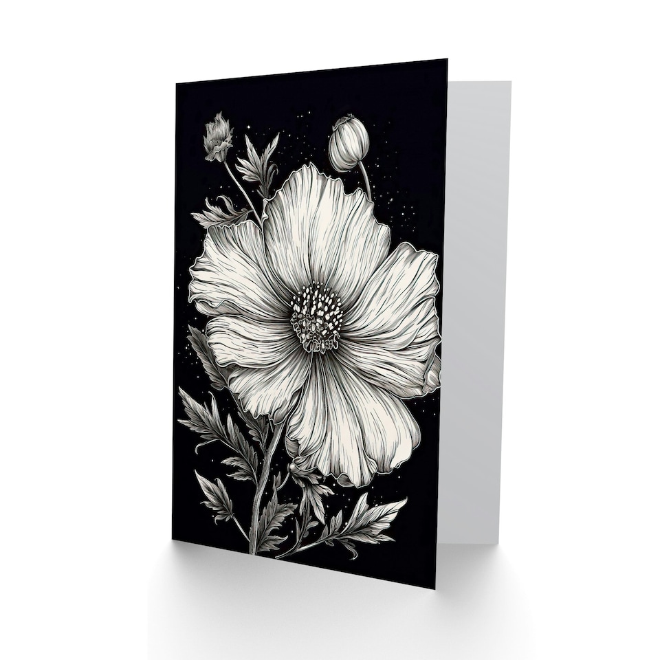 image 1 of White Cosmos Flower Wife Birthday Card