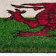 image 3 of Homescapes Coir Doormat Welsh Dragon Flag - 40 x 60 cm