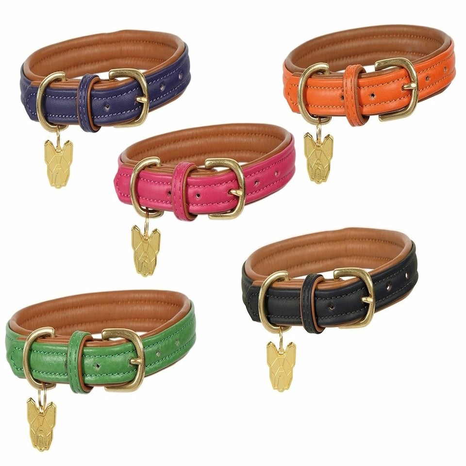 image 1 of Shires Digby & Fox Padded Leather Dog Collar Blue | Size: XX-Small
Colour: Navy