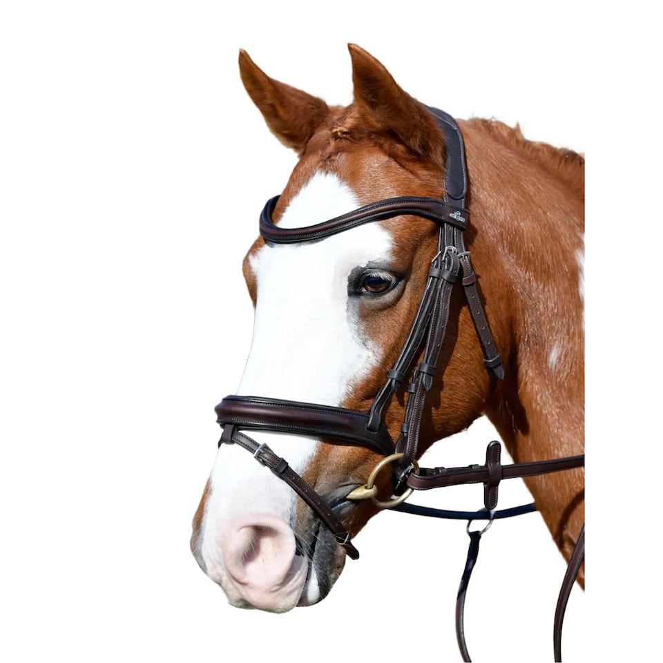 image 1 of Collegiate Comfitec Leather Horse Bridle | Brown | Dark Brown | Cob | 1