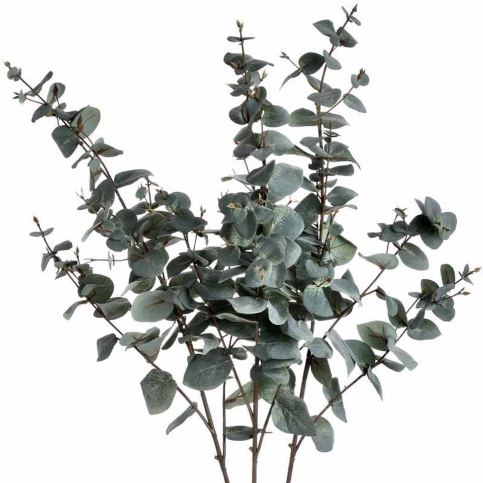 image 1 of Variegated Eucalyptus Artificial Plant - Fabric/Plastic - L27 x W15 x H98 cm - Green
