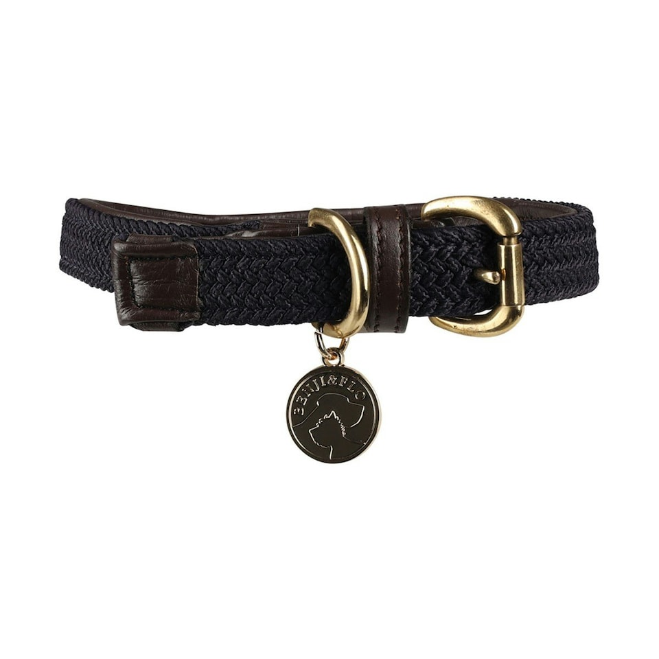 image 1 of Benji & Flo Interlaced Leather Lined Dog Collar - Blue - S