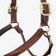 image 5 of LeMieux Stitched Leather Headcollar Brown | Full