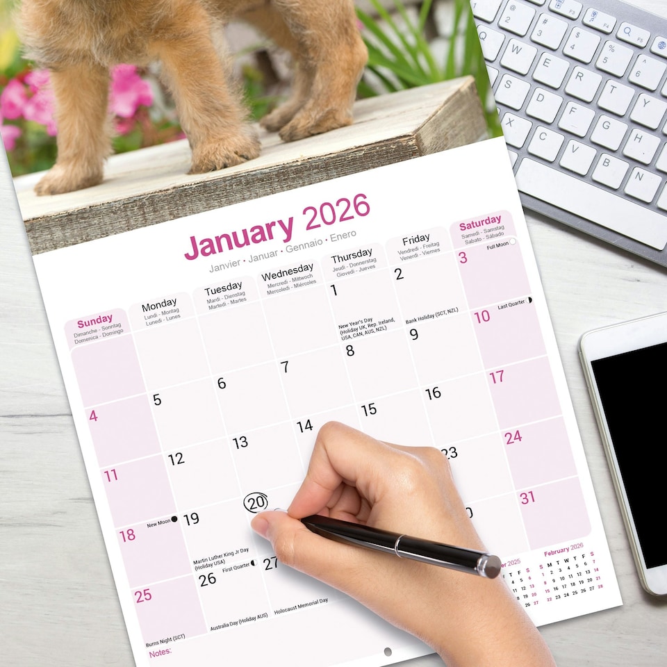 image 1 of Cairn Terrier 2026 Calendar | Square Wall Calendar | Dog Breed Gift | Plastic Free Packaging | by Avonside Publishing