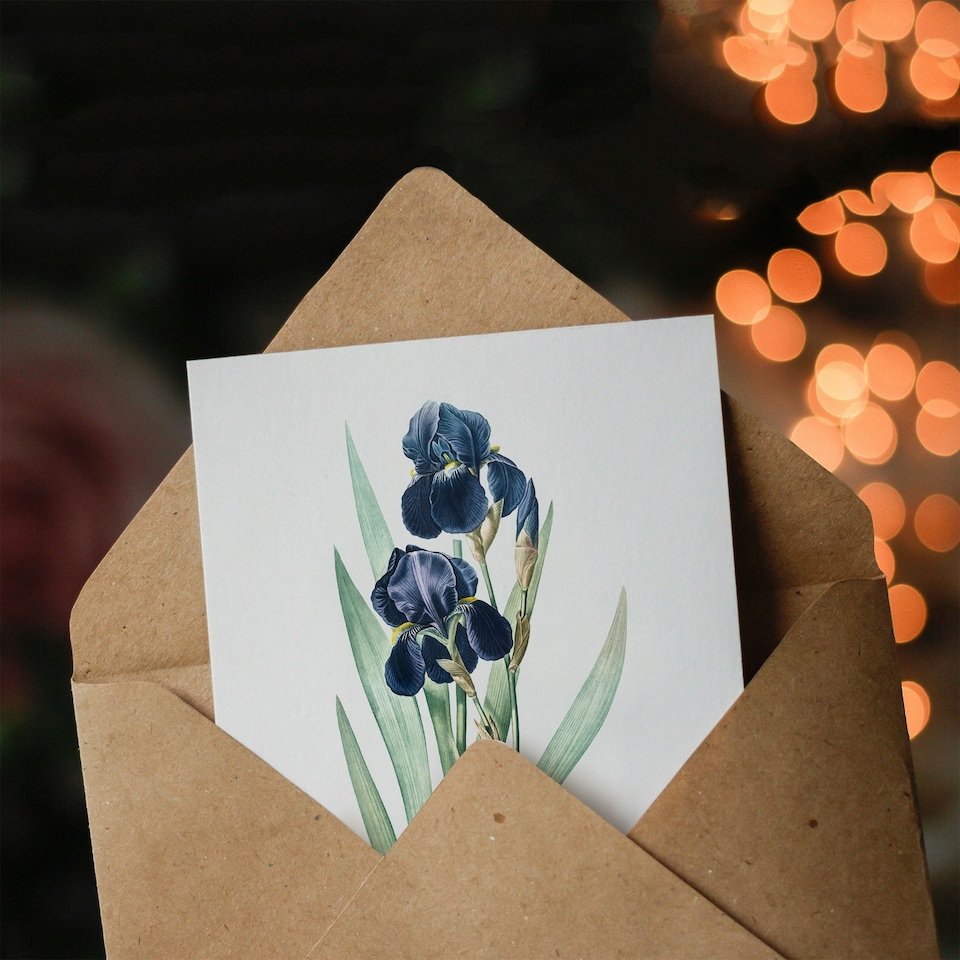 image 1 of Pierre-Joseph Redouté Art Card Bearded Iris Vintage Botanical
