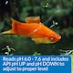 image 5 of API pH Test & Adjuster Kit Tests & Balances Aquarium pH Levels Quickly Water Treatment & Test Kit