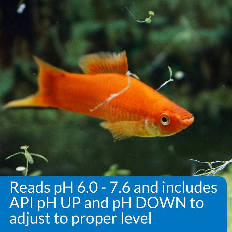 image 1 of API pH Test & Adjuster Kit Tests & Balances Aquarium pH Levels Quickly Water Treatment & Test Kit