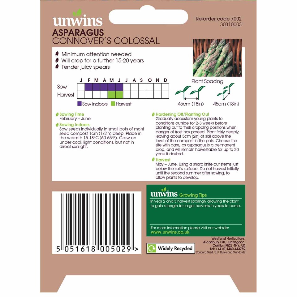 image 1 of Asparagus Connover's Colossal | Multi | Purple