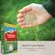 image 6 of Westland GRO-Sure Fast Acting Lawn Seed 10 Meter Square + 30 Percent Extra Quick Germination Grass Seed for Lawn Repair & Growth