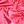 Cerise Pink