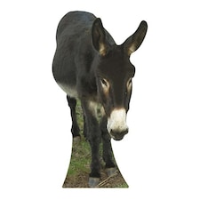 Donkey Lifesize Cardboard Cutout 122cm