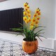 image 4 of 90cm Yellow Flower Orchid Plant