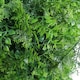 image 4 of True Products Premium Freestanding Artificial Fern Hedge on Metal Frame - Medium