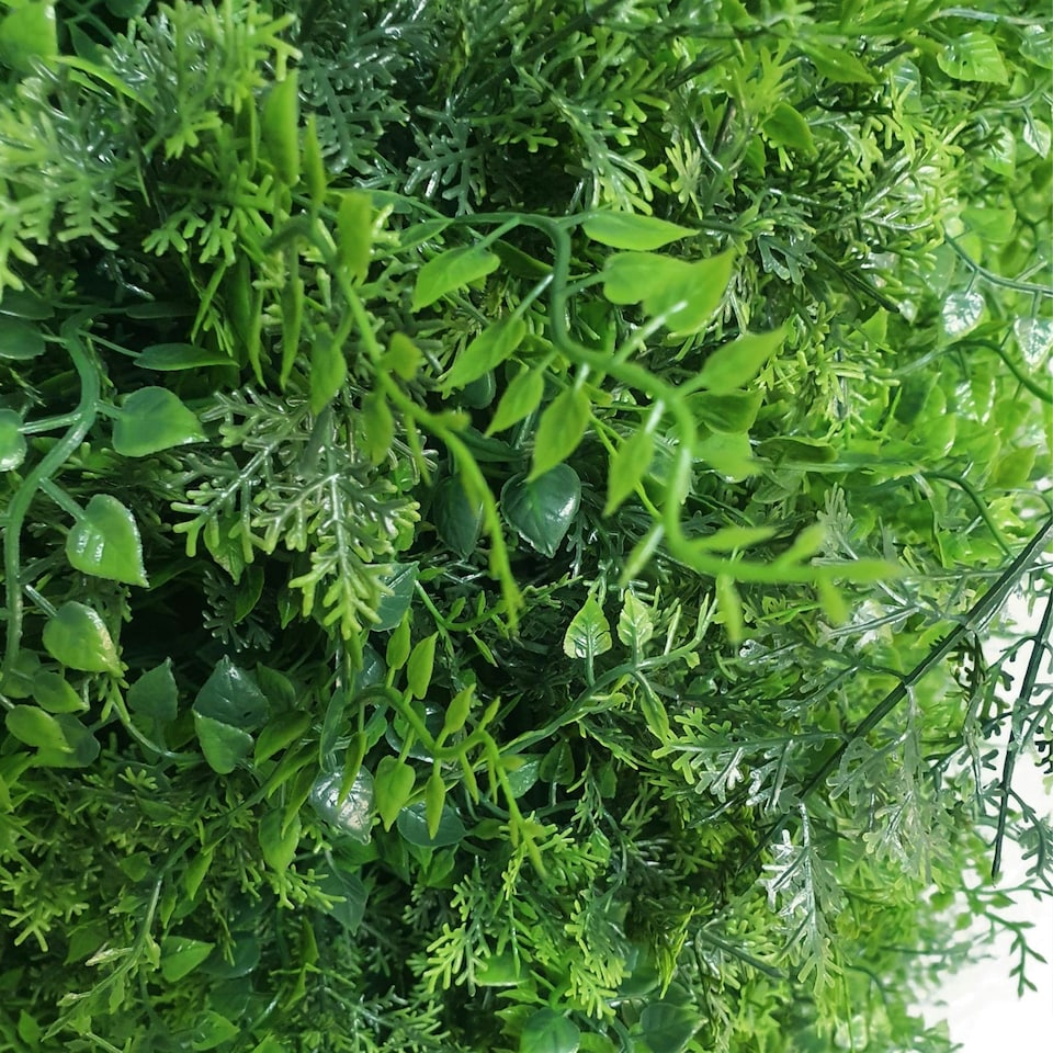 image 1 of True Products Premium Freestanding Artificial Fern Hedge on Metal Frame - Medium