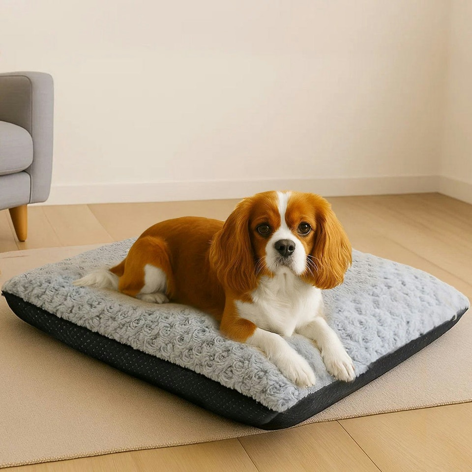 image 1 of Skylos Pet Bed Dog Calming Soft Warm Plush Mattress Comfy Removable Washable Cover Grey | Grey | Small