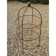 image 1 of Chelsea Range (Large) Cloche Plant Support - L54.6 x W54.6 x H95.3 cm - Bare Metal/Ready to Rust