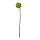 image 4 of Hill Interiors Allium Stem Artificial Plant - Green - 75cm