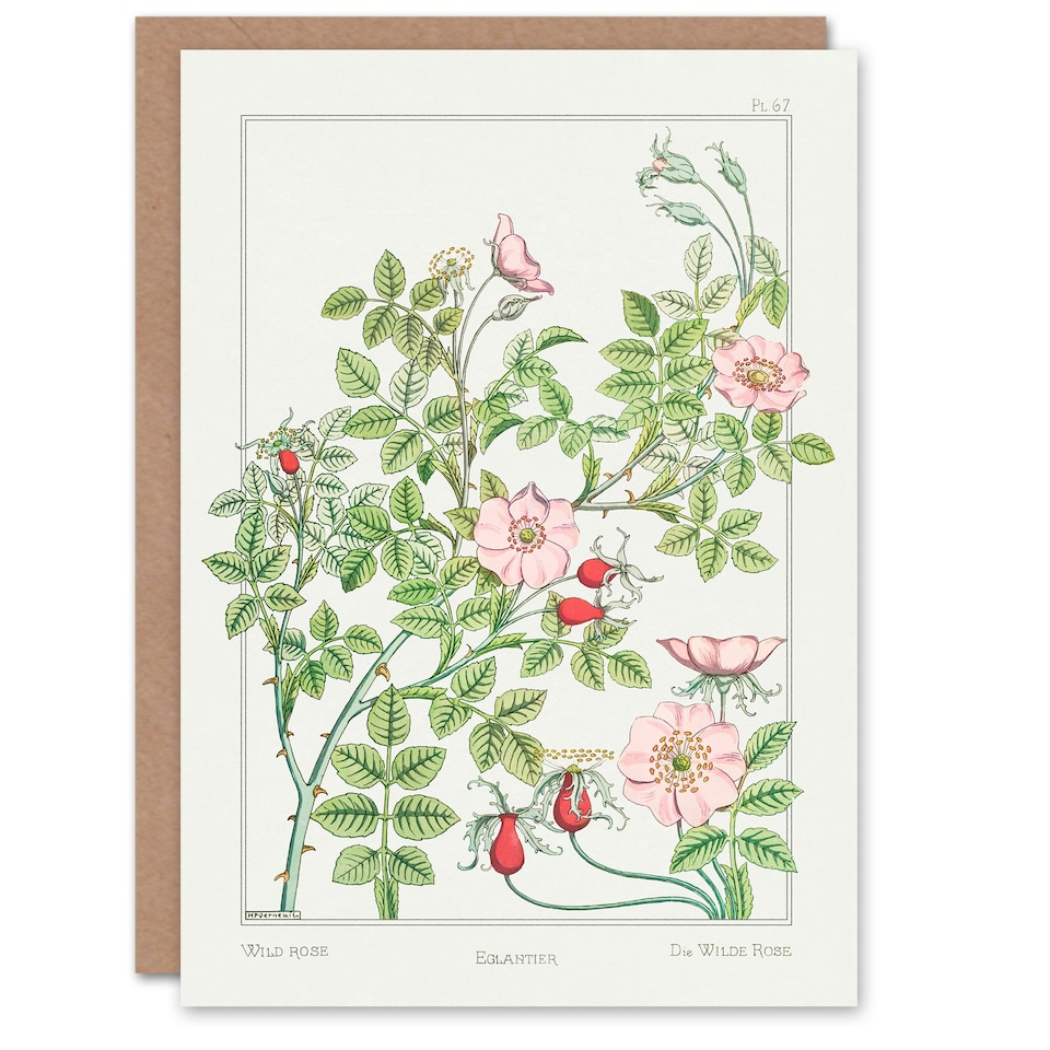image 1 of Maurice Pillard Verneuil Art Card Wild Rose Flower