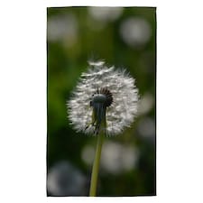 Seedhead of a Dandelion in spring, on a field close up flower head, fluffy flower (Kitchen Towel)