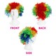 image 4 of Multi-Coloured Rainbow Curly Wig | Multi | 6