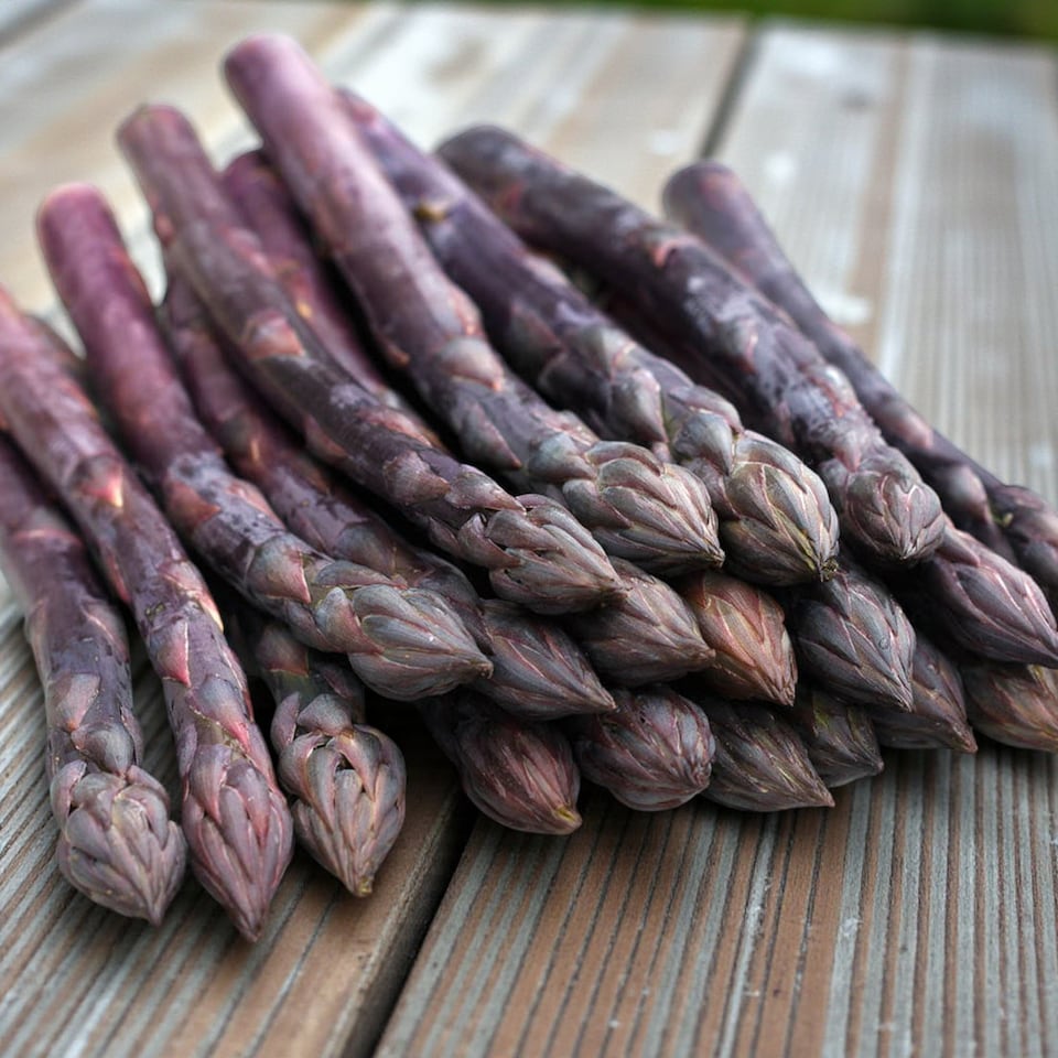 image 1 of Carbeth Plants 25 x Asparagus Crown Erasmus Roots for Planting - Premium Quality Vegetable Perennials for Kitchen Gardens & Allotments
